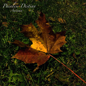 过来让我操个逼
