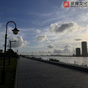 过来让我操个逼
