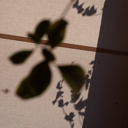 过来让我操个逼
